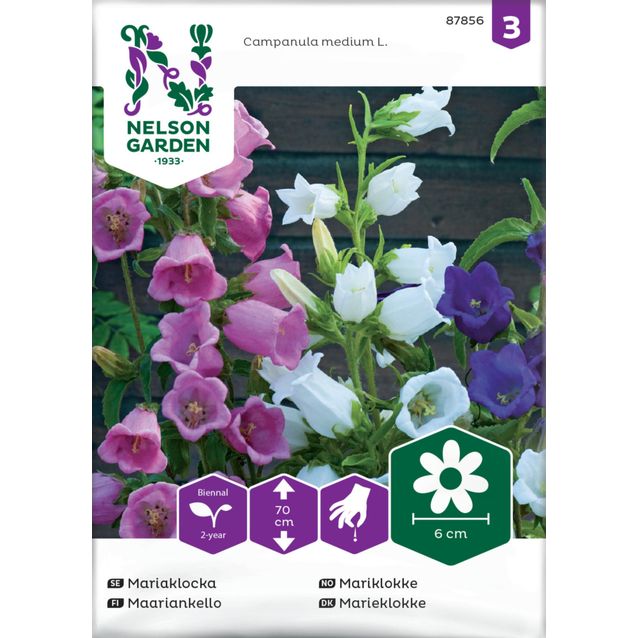 Maariankello siemen Nelson Garden, seos