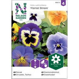 Tarhaorvokki Nelson Garden, Florist Strain, jättiläinen, siemenet