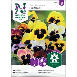 Tarhaorvokki Nelson Garden Hiemalis, väriseos, siemenet