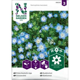 Sinisievikki Nelson Garden, siemenet