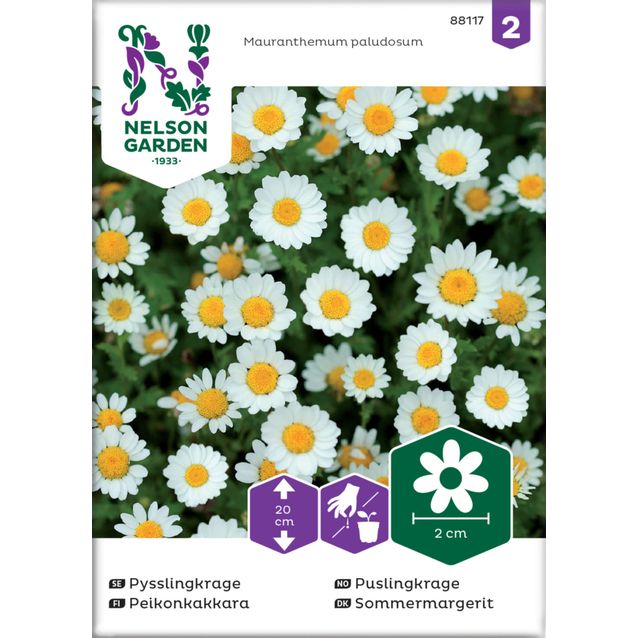 Peikonkakkara siemen Nelson Garden