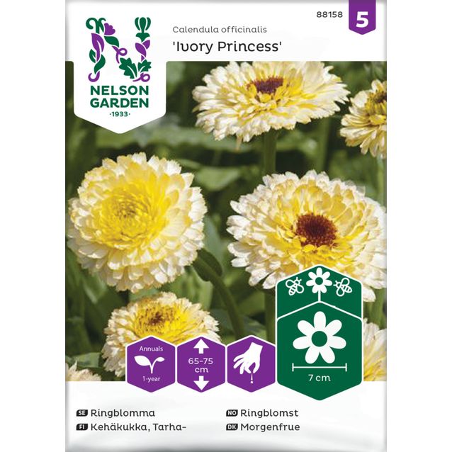 Tarhakehäkukka siemen Nelson Garden Ivory  Princess