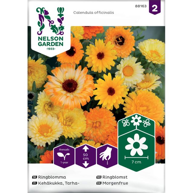 Tarhakehäkukka siemen Nelson Garden, väriseos