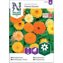 Tarhakehäkukka Nelson Garden Fiesta Gitana, siemenet