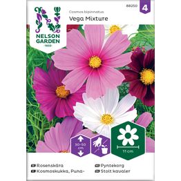 Punakosmoskukka Nelson Garden Vega Mixture, siemenet