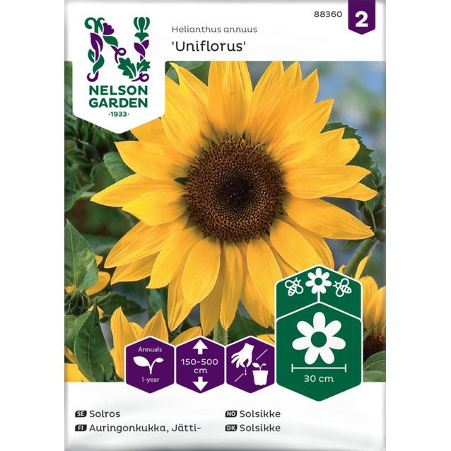 Jättiauringonkukka siemen Nelson Garden Uniflorus