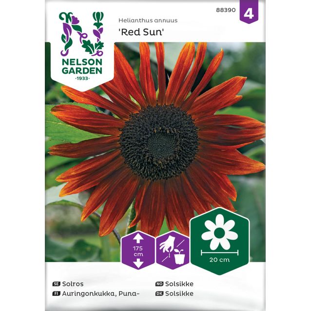 Puna-auringonkukka siemen Nelson Garden Red Sun