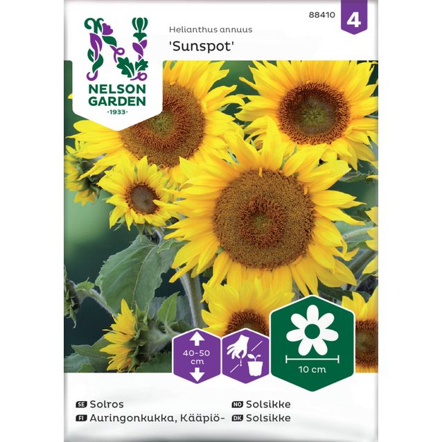 Kääpiöauringonkukka siemen Nelson Garden Sunspot