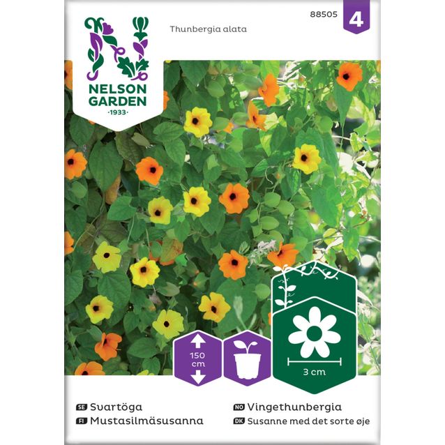 Mustasilmäsusanna siemen Nelson Garden, väriseos
