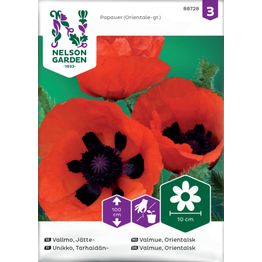 Tarhaidänunikko Nelson Garden, siemenet