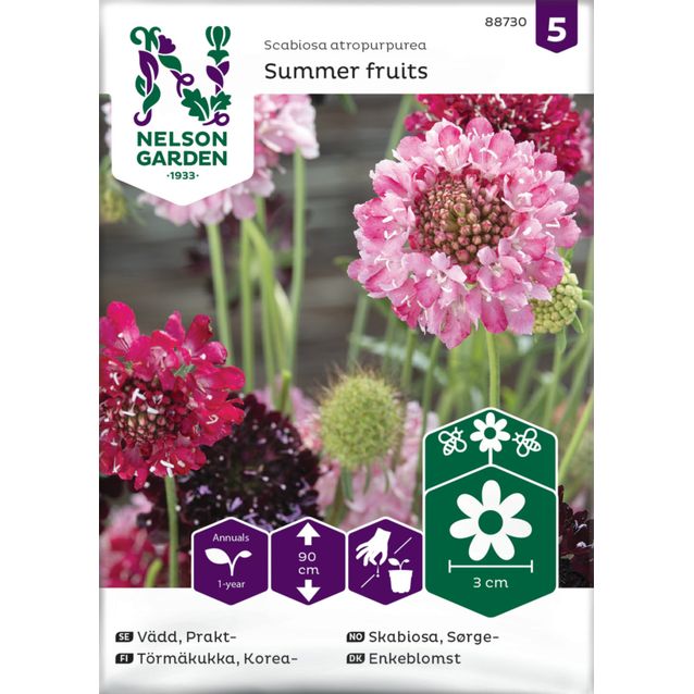 Koreatörmäkukka siemen Nelson Garden Summer fruits
