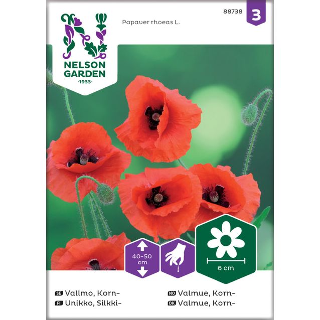 Silkkiunikko siemen Nelson Garden