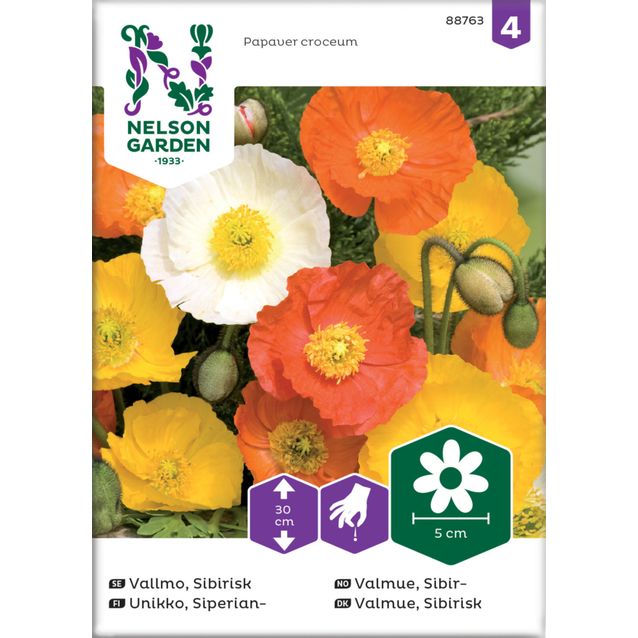 Siperianunikko siemen Nelson Garden, väriseos