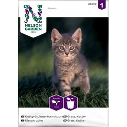 Kissanruoho Nelson Garden, siemenet