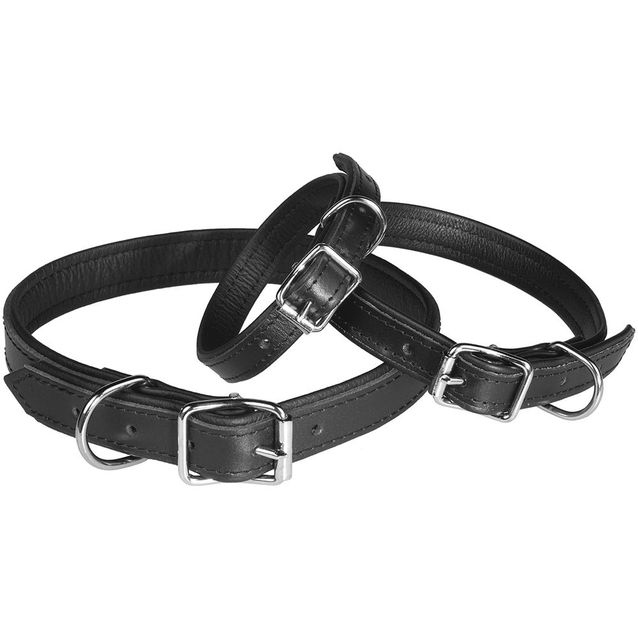 Nahkapanta Pet First Eco vuorella musta 18mmx50cm