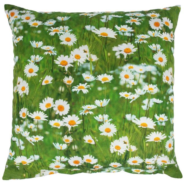Pillow HOLLY 45x45cm, daisies
