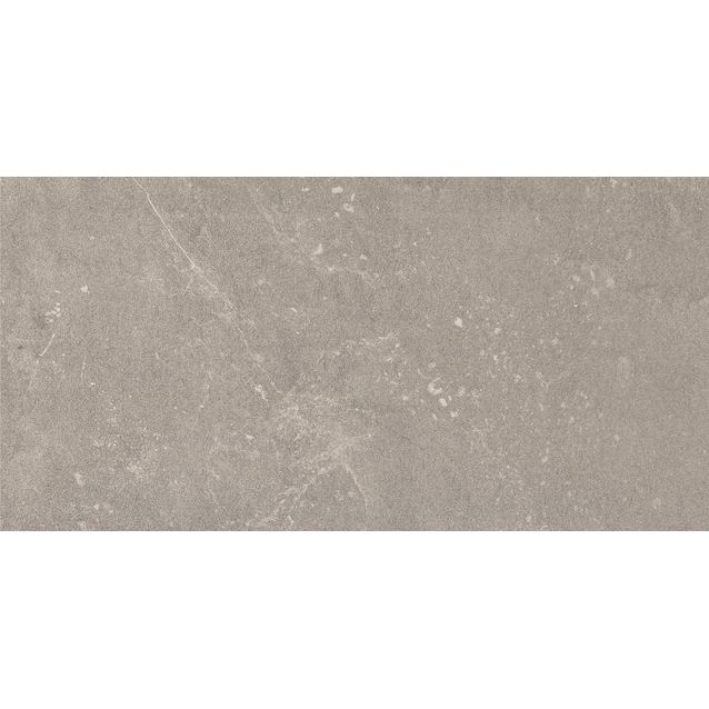 Seinälaatta Pukkila Piazen Ash, himmeä, sileä, 600x300mm