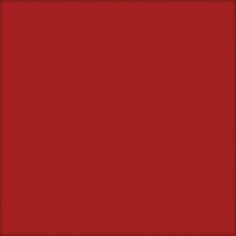 Seinälaatta Pukkila Harmony Carmine, himmeä, sileä, 197x197mm