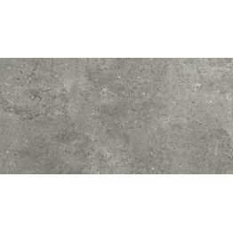 Seinälaatta Pukkila Urban Stone Wall Grey himmeä sileä 295x592 mm