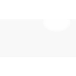 Seinälaatta Pukkila White kiiltävä sileä 295x592 mm