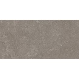 Lattialaatta Pukkila Lugano, 30x60cm, tasapintainen, matta, rektifioitu, antibakteerinen, lasitettu porcelanato