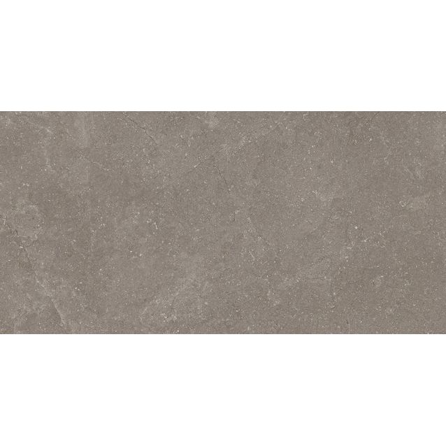 Lattialaatta Pukkila Lugano, 30x60cm, tasapintainen, matta, rektifioitu, antibakteerinen, lasitettu porcelanato