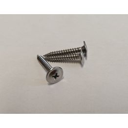 Ruuvi Ruukki Classic ja Trendic S342025WB PH2 100 kpl