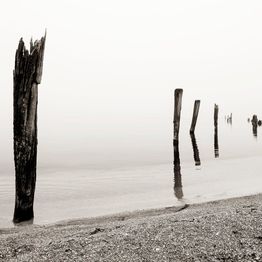 Mittatilaustapetti Rebel Walls Shoreline (R13671)