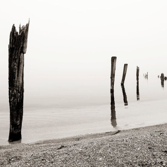 Mittatilaustapetti Rebel Walls Shoreline (R13671)