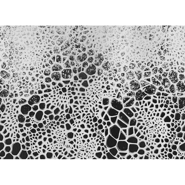 Kuvatapetti Rebel Walls The Nest mittatilaus