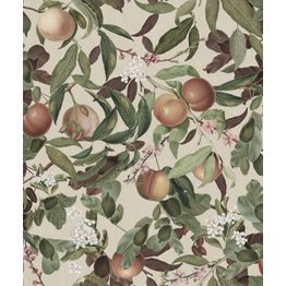 Tapetti Rebel Walls Peach Valley Sand, kasvi, vintage, vihreä