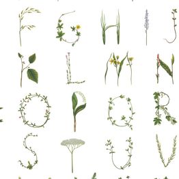 Tapetti Rebel Walls Floral Alphabet Mini English (R18532)