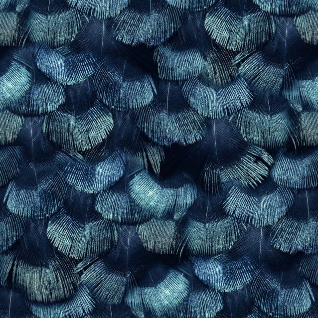 Tapetti Rebel Walls Petite Peacock Plumage, Teal (R18555)
