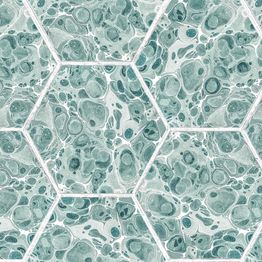 Tapetti Rebel Walls Marbled Hexagon Tiles