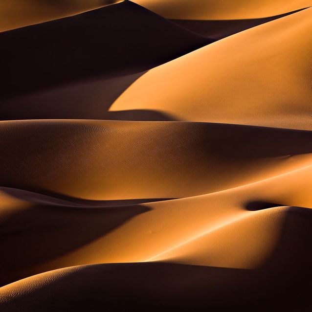 Mittatilaustapetti Rebel Walls Sahara (R19004)
