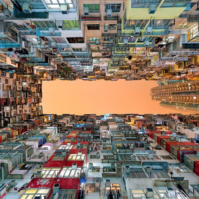 Mittatilaustapetti Rebel Walls Upside Down (R19091)