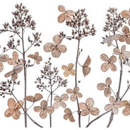 Mittatilaustapetti Rebel Walls Dried Flowers (R19128)