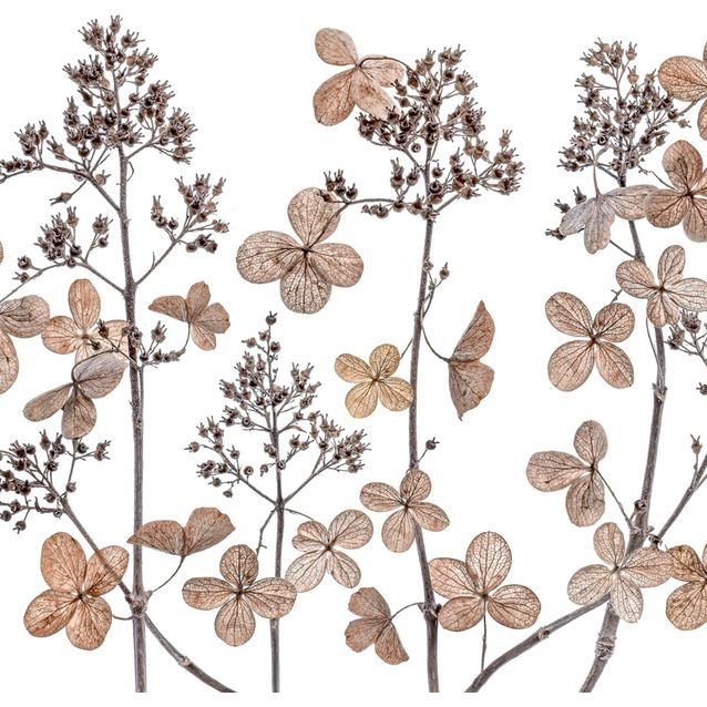 Mittatilaustapetti Rebel Walls Dried Flowers (R19128)
