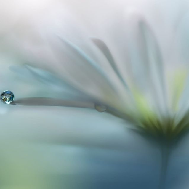 Mittatilaustapetti Rebel Walls Raindrop (R19129)