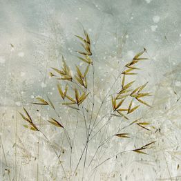Mittatilaustapetti Rebel Walls Golden Grain (R19173)