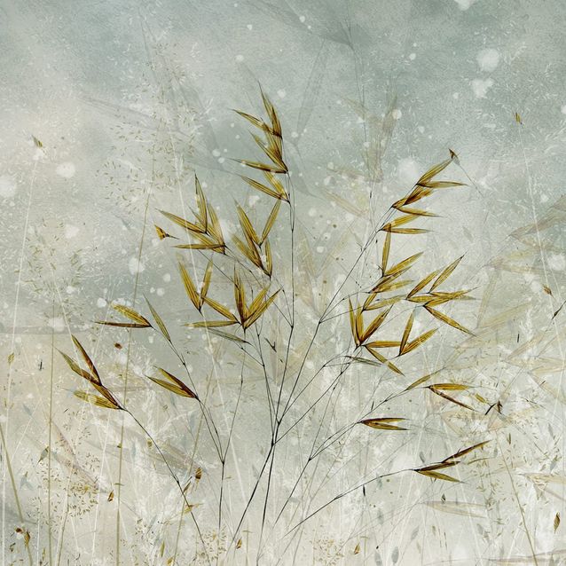 Mittatilaustapetti Rebel Walls Golden Grain (R19173)