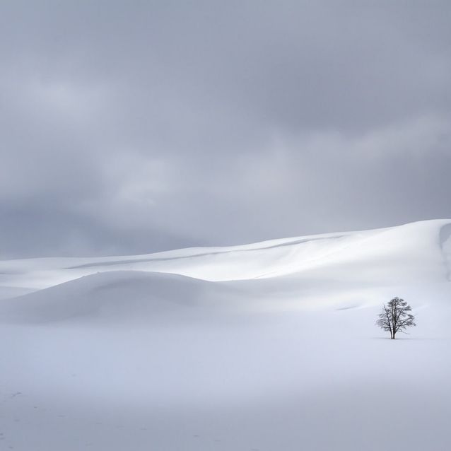 Mittatilaustapetti Rebel Walls Snowy Hills (R19189)