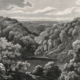 Mittatilaustapetti Rebel Walls Mystery Lake, Vintage (R19216)