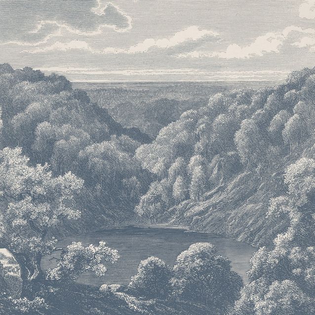 Mittatilaustapetti Rebel Walls Mystery Lake, Blue (R19217)