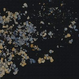 Mittatilaustapetti Rebel Walls Fragile Beauty, Dark Blue (R19297)