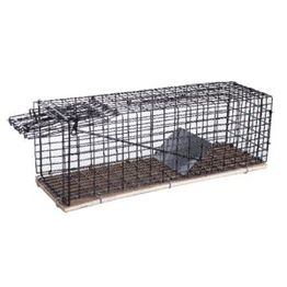 Rotanpyydys Silverline metallikehikolla lion r1