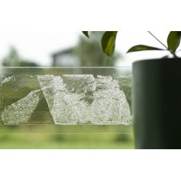 Hyönteisansa Silverline Sticky F10 10kpl