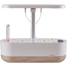 Hydroponinen vesiviljelyjärjestelmä Greenline Urban Growing P10