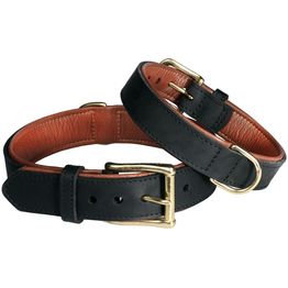 Rasvanahkapanta Pet First FL vuorella musta/rusk. eri kokoja