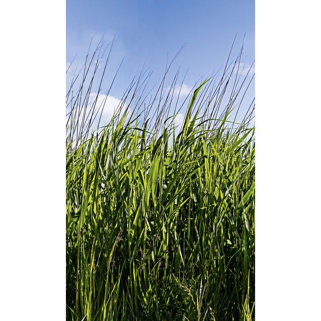 Kuvatapetti Smart Art Easy 47272 1,59x2,70 m non-woven